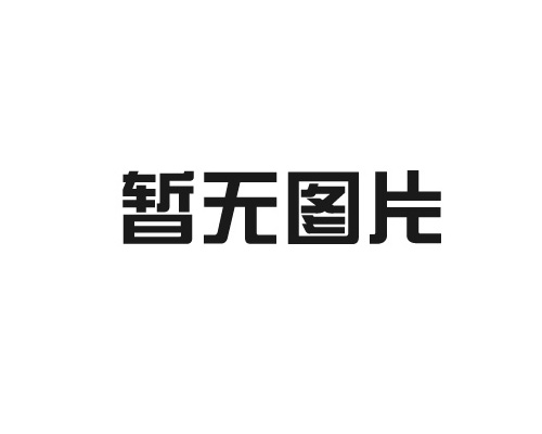 广州农商行清远分行行长莅临上海电气科城（英德）考察交流
